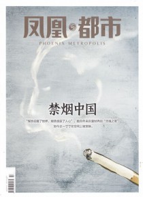 凤凰都市